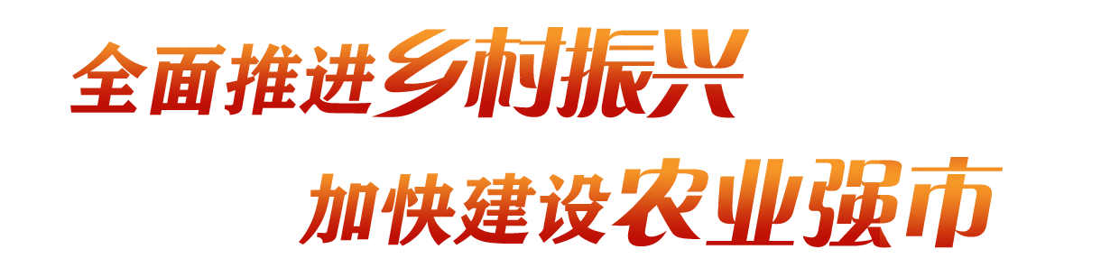 全面推進鄉村振興 加快建設農業強市